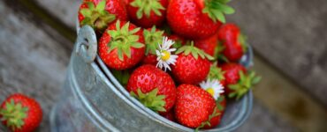 Cesto di fragole