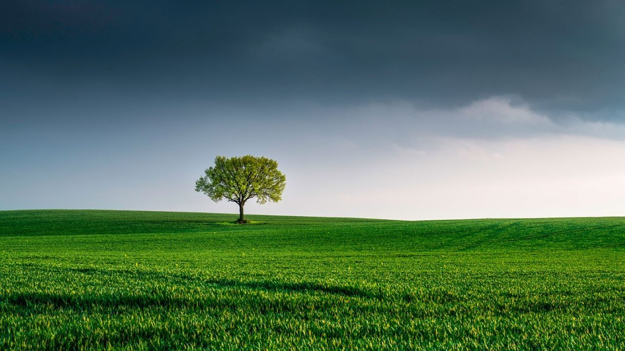 sostenibilità ambientale