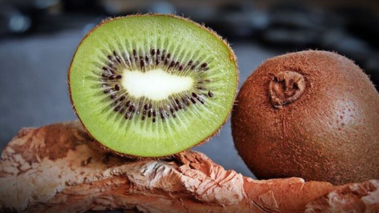 frutto del kiwi