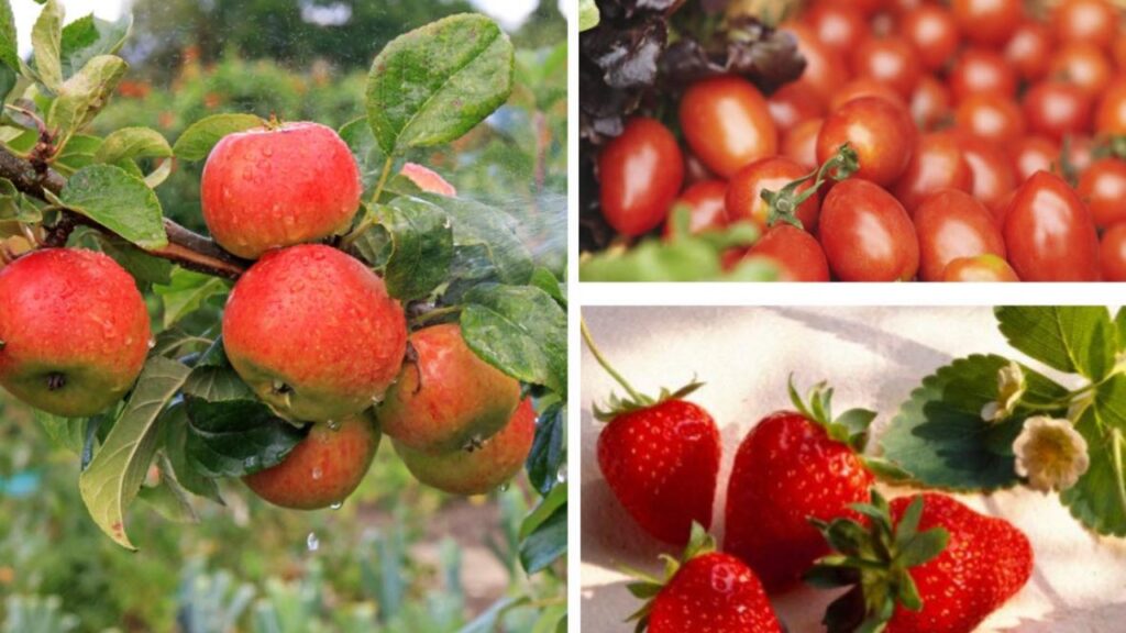 Frutta E Verdura Contaminate Da Pesticidi Ecco A Quali Fare Attenzione