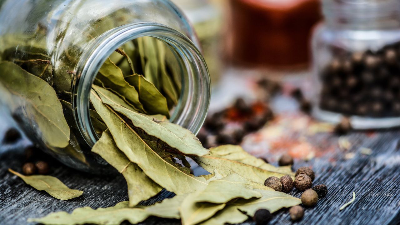 Barattolo rovesciato con foglie di alloro