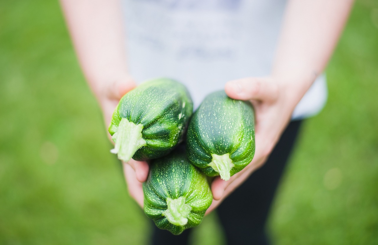 Tre zucchine