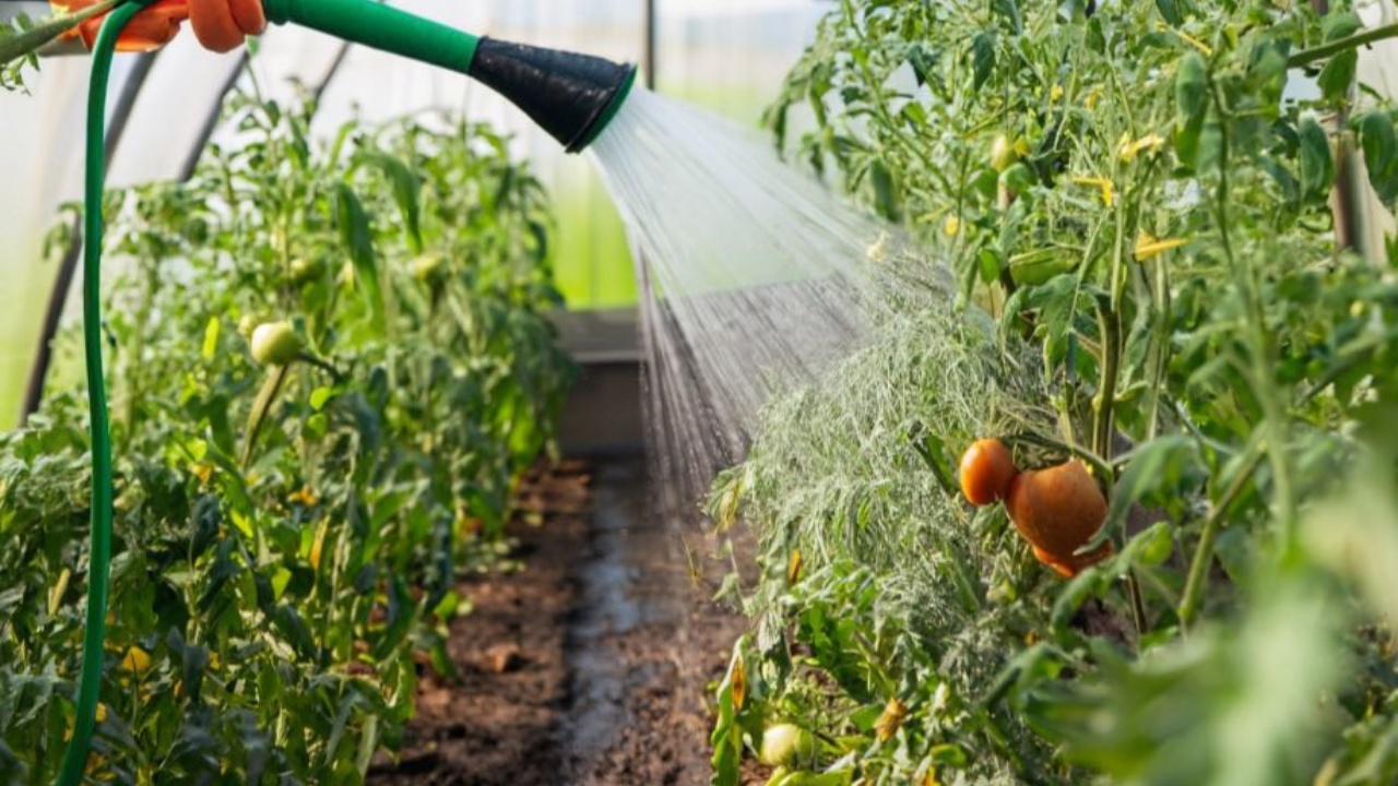 Irrigazioni giardino: gli errori da non commettere