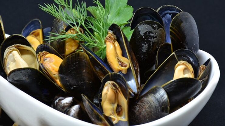 cozze in guazzetto