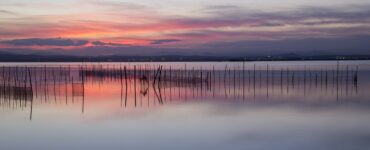 laguna albufera spagna