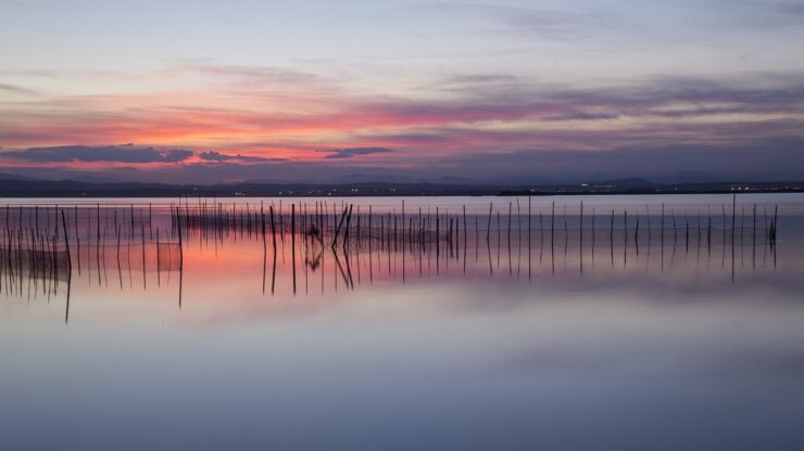 laguna albufera spagna