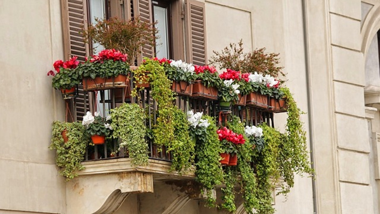 balcone