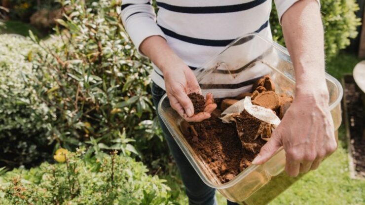 fertilizzante giardino