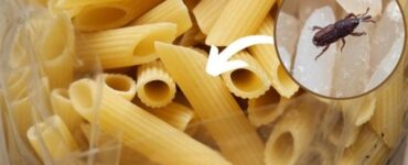 farfalline pasta