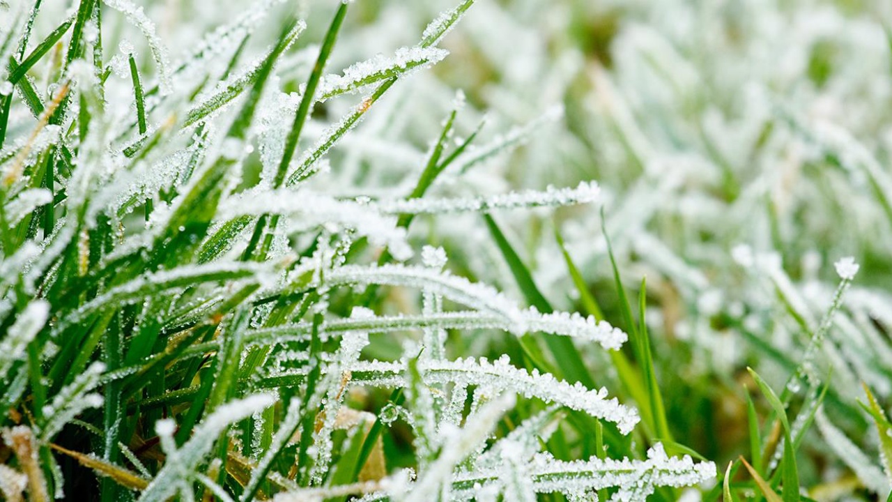 giardino inverno